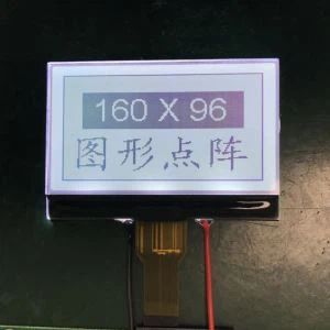 Module d'affichage LCD 160 * 96