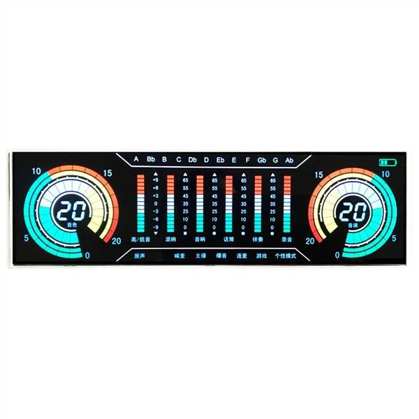 Module d'affichage LCD personnalisé Zebra Transmissive Negative VA 7 Segments